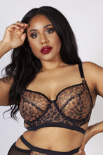 Load image into Gallery viewer, Gabi Fresh Alexis Leopard Print Mesh Cut Out Bra B - H