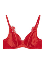 Load image into Gallery viewer, Zoya Curve Fishnet and Lace Plunge Bra