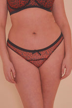 Load image into Gallery viewer, Josie Leopard Mesh Picot Cheeky Brazilian Brief Curve