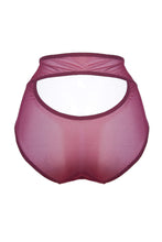 Load image into Gallery viewer, Juliet Wine High Waist Brief Curve