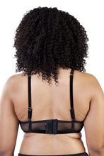 Load image into Gallery viewer, Gabi Fresh Erin Black Velvet Bralet
