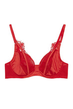 Load image into Gallery viewer, Zoya Fishnet and Lace Plunge Bra
