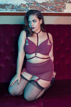 Load image into Gallery viewer, Juliet Wine High Waist Brief Curve
